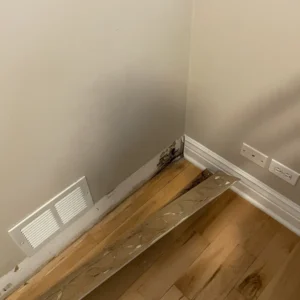 Water leak before restore your property