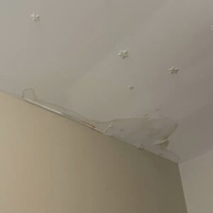 before damage restoration services
