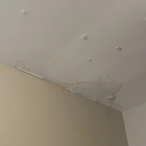 Before damage restoration services