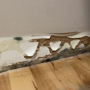 Mildew growth in floorboards