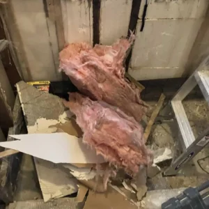 Cleaning floods services for mold chicago business