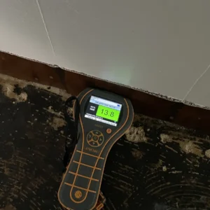 moisture reading of affected areas