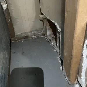 Inspecting for mold growth after water damage.