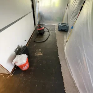 Containment for the mold remediation process