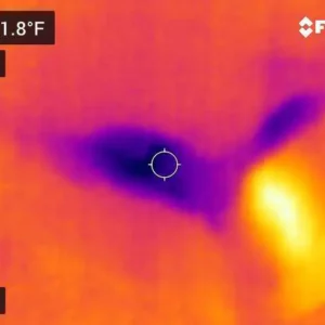 Thermal image from thermometer reading reveals water damage
