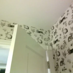 Hidden moisture in ceiling from leak