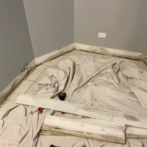 water damage and mold growth