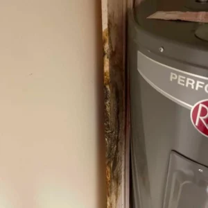 Water leak leads to interior mold growth.