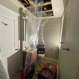 Specialized equipment provides efficient interior drying.