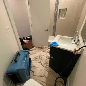 Residential bathroom in need of cleanup and restoration services.