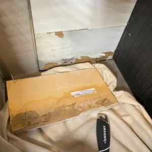 Uncovering hidden water damage and significant mold growth